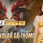 Cách Chơi Đá Gà Thomo Trực Tuyến Tại ZB368