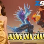 Hướng Dẫn Sảnh SV388: Đăng Ký, Nạp Tiền & Chơi Đá Gà Thomo