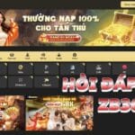 Câu Hỏi Thường Gặp (FAQ) Khi Sử Dụng ZB368