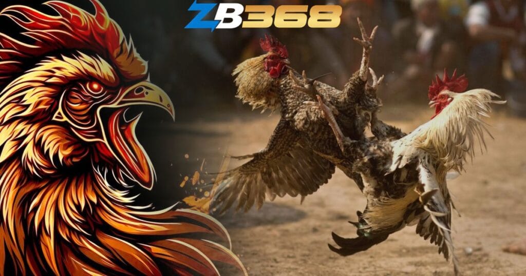 Hướng Dẫn Sảnh Đá Gà Cựa Sắt Philippines – Thể Thức & Cách Cược