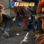 Hướng Dẫn Sảnh Đá Gà Cựa Sắt Philippines – Thể Thức & Cách Cược