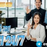 Liên Hệ ZB368 – Kênh Hỗ Trợ Chính Thức