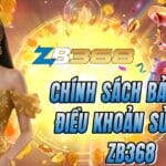 Chính Sách Bảo Mật & Điều Khoản Sử Dụng ZB368
