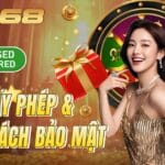 Giấy Phép & Chính Sách Bảo Mật Của ZB368