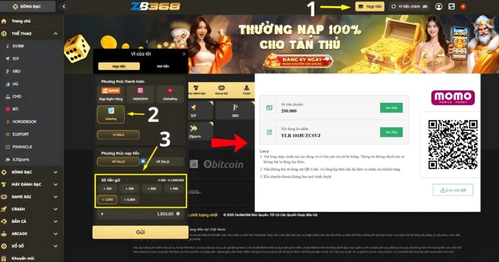 Hướng Dẫn Nạp Tiền Qua Ví Điện Tử (Momo, ZaloPay)