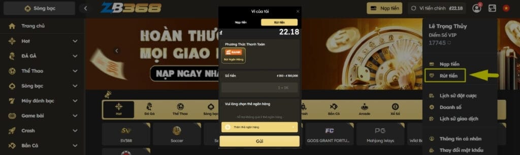 Rút Tiền Tại ZB368